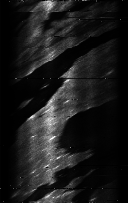 ascat_grayscale_ch6.png